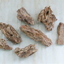 資 形おまかせ 気孔石 S 約12〜17cm