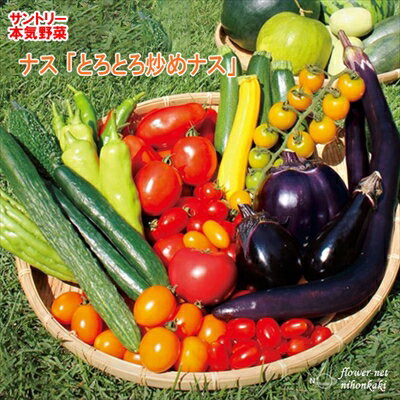 予約販売 ナス苗 とろとろ炒めナス 12cmポット 大苗 本気野菜 野菜苗 hlpv 4月下旬以降発送のサムネイル