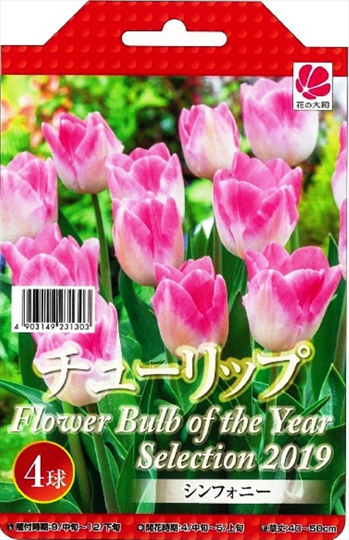 Flower bulb | iChiba - Mua Hộ Hàng Nhật, Đấu Giá Yahoo Auction