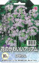 予約販売 花の大和 球根 花のかわいいアリアム ロゼウム 10球 hyk 10月上旬以降発送