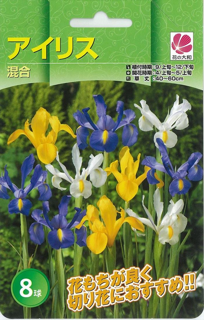 予約販売 花の大和 球根 秋植え球根バラエティ アイリス混合 8球 hyk 10月上旬以降発送