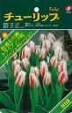 予約販売 球根 チューリップ ベストチョイス ハッピージェネレーション 福花園 8球 fke 10月中旬以降発送