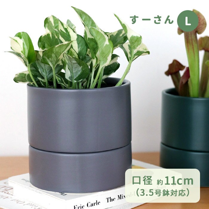 カラーが選べる植木鉢 すーさん Lサイズ 資 PP-0255-L 3.5号 受皿付 陶器 鉢 食虫植物 インテリア おしゃれ 観葉植物 plt