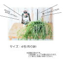 nihonkakiryuutuu:10019097のサンプル画像3