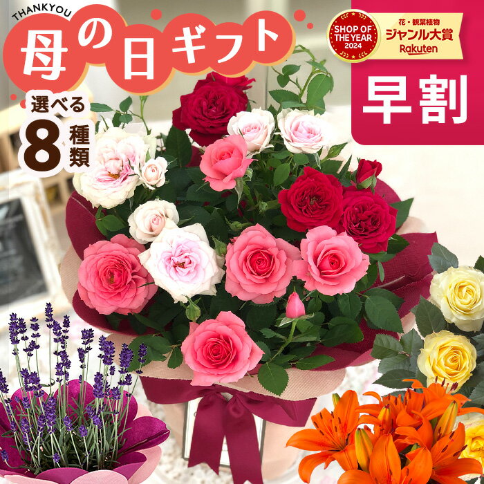 ポイント2倍！ 母の日 プレゼント ミニバラ トリコロールレッド 5号鉢 送料無料 母の日ギフト 花 鉢植え バラのサムネイル