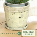 カラーが選べる植木鉢 チーズケー