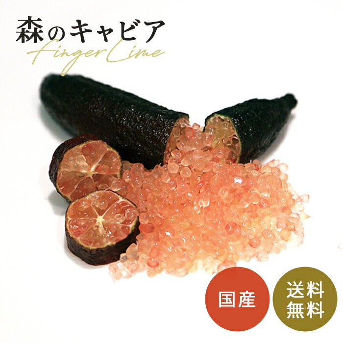 フィンガーライム（キャビアライム）の苗木･大苗のおすすめ販売店･購入店の一覧【まとめ】 315