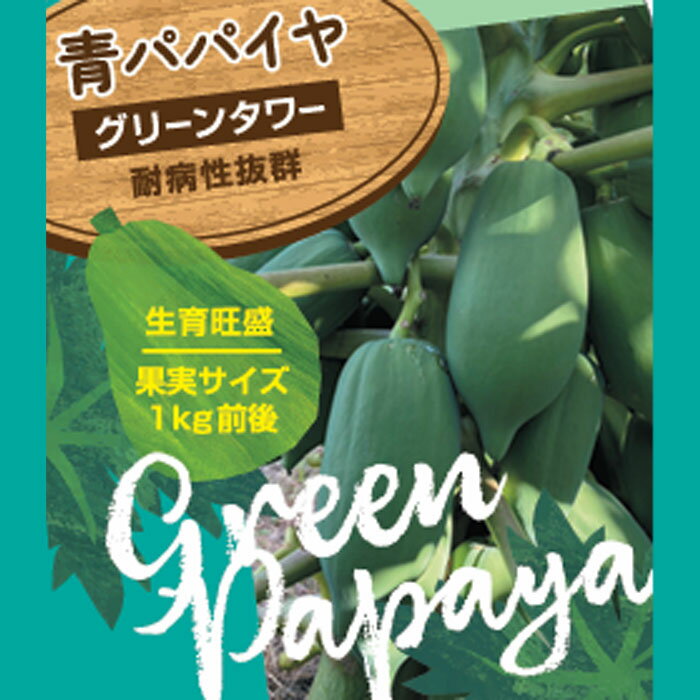 青パパイヤ グリーンタワー 苗 3.5号ポット パパイヤ グリーンパパイヤ 健康野菜のサムネイル