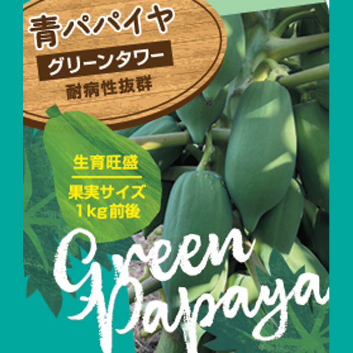 楽天フラワーネット 日本花キ流通青パパイヤ グリーンタワー 苗 3.5号ポット パパイヤ グリーンパパイヤ 健康野菜