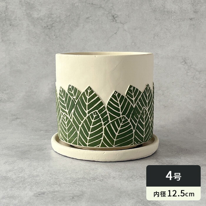  ȭ KL67GR ֥롼ݥåD L ꡼ 4 ꤢ  ƥ  dlk