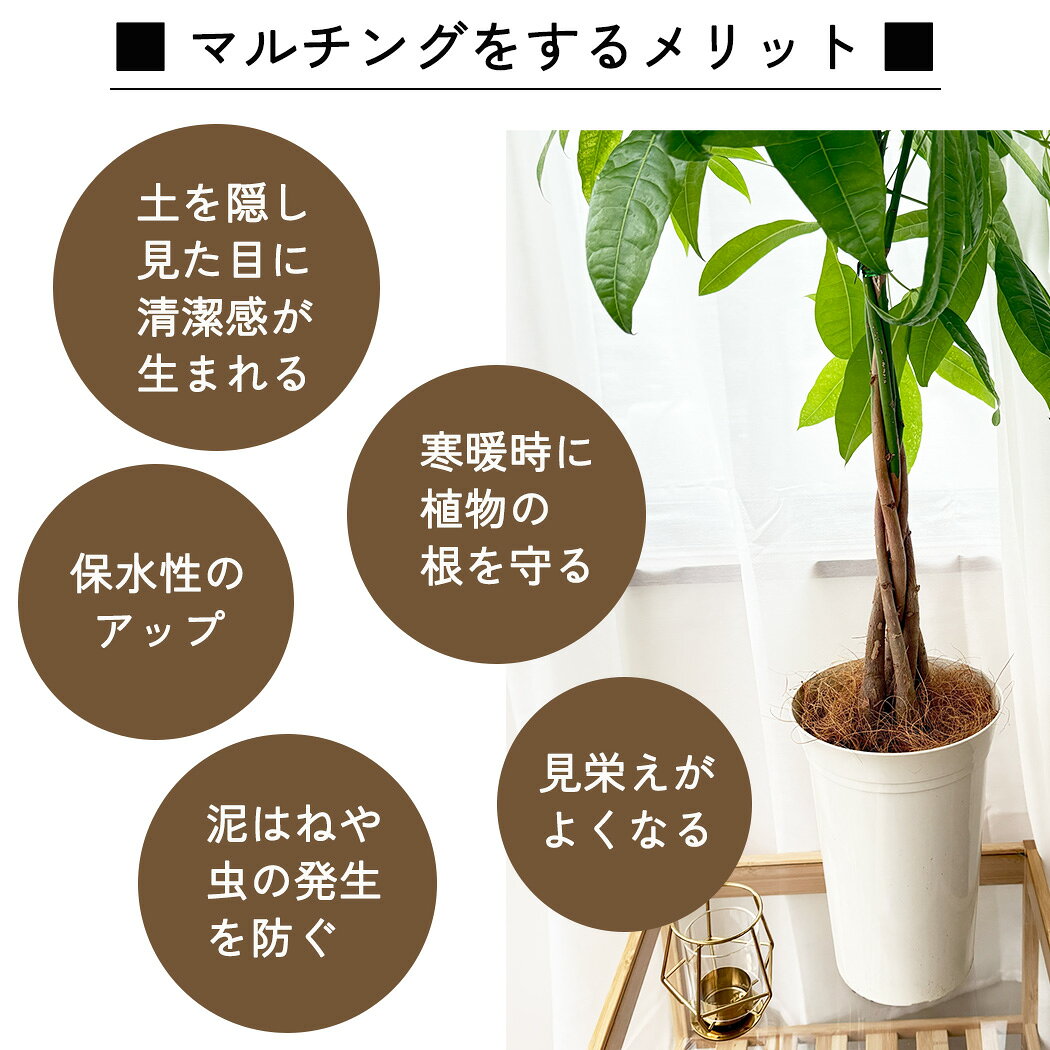 資 マルチングパック 選べる4種類 観葉植物 土 植え替え 鉢植 園芸用品 インテリア
