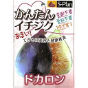 予約販売 いちじく 苗 ドカロン 12cmポット イチジク 無花果 一熟 苗木 果樹苗 smz 9月下旬以降発送