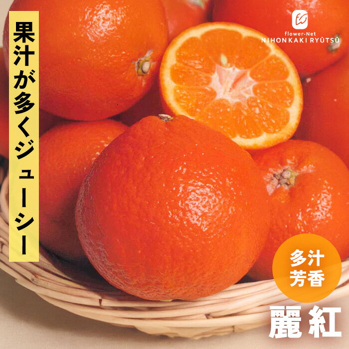 楽天市場】麗 紅 みかんの通販