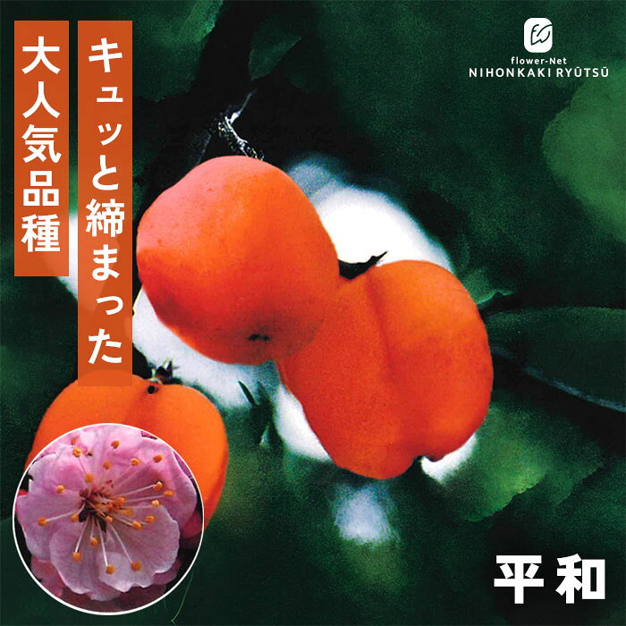 送料について→ 特徴 あんずの中で一番良く売れている大人気の代表品種「平和（へいわ）」。 果重40gほどの実を結び、果肉はキュッと締まってキメが細かく、品質の高さに定評があります。 やや強めの甘酸っぱい酸味が特徴で、自家製のジャムやシロップ漬けに加工すると極上の美味しさに仕上がります！ ・糖度　8度程度 ・大きさ　50g〜70g程度（中実、豊産性あり） ・熟期　6月中旬〜7月上旬頃 ・受粉樹　不要 ・用途 ジャム、シロップ漬け、焼酎漬け ※栽培環境により異なる場合があります。 管理方法 【置き場所・日当たり】 日当たりが良く水はけの良い場所で管理します。 よく日に当てることで、果皮が美しい橙黄色に染まり、糖度が上がります。 【水やり】 鉢植え：土の表面が乾いたら鉢底から流れるまでたっぷりと与えます。 庭植え：根付いた後は基本的には水やりの必要はありません。雨に任せましょう。 【摘果（間引き）】 4月下旬〜5月頃に実の間引きをします。 【剪定】 枝が込み合うと光が届かなくなるので、冬の間に剪定をしましょう。 サイズ・その他 13.5cmポット 1ポット ※秋出荷の際は落葉しています。 ※苗木の画像はお届け時のイメージとなります。 ※個体差がございますのでご了承下さい。 注意点 ※ご予約苗につきましては、植物のため生育不良等の理由で商品の準備ができない場合がございます。 ※発送時期が異なる商品とは同梱できません。 ※各商品ページに記載の発送時期をご確認の上ご注文下さい。