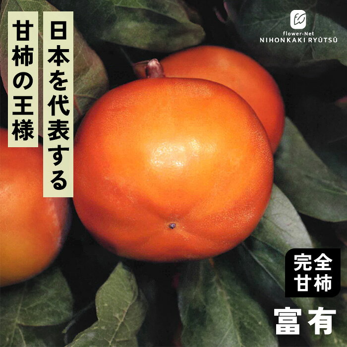 送料について→ 特徴 「富有（ふゆう）」は日本で最も多く生産されている「甘柿の王様」。 丸みを帯びたふっくらとした形、とろけるような滑らかな果肉、コクのある豊かな甘さなど、すべてのバランスが整ったまさに日本を代表する最高傑作です。 ●分類：完全甘柿（中〜晩生種） ●収穫時期：11月上旬〜11月下旬 ●果重（大きさ）：250g〜300g前後 ●糖度：約16度 ●結実性：受粉樹が必要（単為結果性が弱いため「禅寺丸」などを混植） ●日持ち性：良好 ●植え付け適期：11月 〜 3月（休眠期） 栽培方法 日当たりが良い場所を最優先にします。 日光が不足すると花つきや実つきが悪くなり、落果の原因になります。 柿の枝は比較的折れやすいため、台風や強風が直接当たらない場所が理想です。 水はけ（排水性）と水もち（保水性）のバランスが良い土壌を好みます。 地植えで根付いた後は基本的に雨水だけで育ちます。 夏場に雨が何日も降らず乾ききっている時はたっぷり与えてください。 元肥（12月〜2月）として、有機質肥料（骨粉入り油かすや完熟堆肥など）をじっくり効かせます。 また、追肥（6月〜7月頃）として、お礼肥（収穫後の10月頃）として、速効性の化成肥料を少量施します。 12月〜2月頃の休眠期に行います。 「前年伸びた枝（結果母枝）の先端近くの芽」から春に新しい枝が伸び、その新枝に花が咲いて実がつきます。 そのため、枝の先端を全部切り落としてしまうと翌年花が咲かなくなってしまうので注意が必要です。 ＜摘果＞ 実がつきすぎると、実がつきすぎると、翌年実がならなくなる「隔年結果（かくねんけっか）」を起こしやすくなります。 6月下旬〜7月上旬頃、ヘタの形が良いもの、上向きではなく下向きや横向きについている大きな実を残し、傷のあるものや小さすぎるものを間引きます。 サイズ・その他 13.5cmポット 1ポット ※樹形・大きさには個体差がございます。 ※苗木の画像はお届け時のイメージとなります。 ※露地栽培のため、葉の傷み等が生じていることがございます。 ※発送時期により落葉している場合があります。 注意点 ※ご予約苗につきましては、植物のため生育不良等の理由で商品の準備ができない場合がございます。 ※発送時期が異なる商品とは同梱できません。 ※各商品ページに記載の発送時期をご確認の上ご注文下さい。　