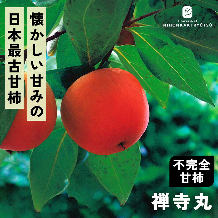 楽天市場】禅寺丸 苗の通販