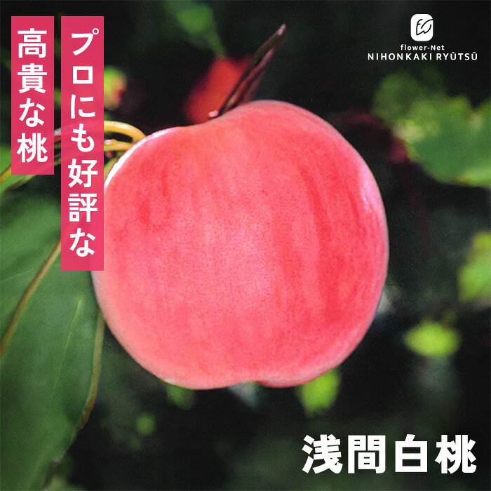 Nana様　甘美な香りが最高❤️　浅間白桃　EM栽培　ドリップ農法　3kg箱 楽天市場】浅間 桃の通販