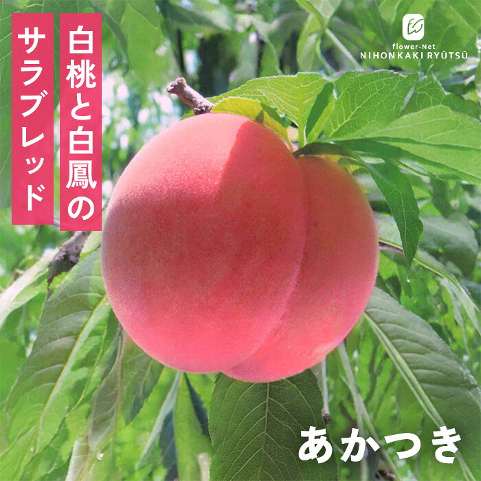 楽天市場】桃 あかつき 苗の通販