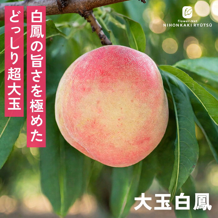 送料について→ 特徴 「大玉白鳳」は人気の「白鳳」の良さ（なめらかな食感・豊富な果汁・まろやかな甘さ）はそのままに、果実がより大きく育つよう選抜された豪華な大玉系統。 350gを超えるどっしりとしたサイズに育ちやすく、白鳳ファンにさらなる満足感を与えるプレミアムな品種です。 ●分類：バラ科モモ属（早生〜中生種） ●収穫時期：7月下旬〜8月上旬 ●果重（大きさ）：320g〜380g前後 ●糖度：約12〜13度 ●結実性：1本で結実する ●日持ち性：普通 ●植え付け適期：11月〜3月（休眠期） 栽培方法 日当たりが良い場所を好みます。 日照時間が不足すると、花つきが悪くなり実の甘みも落ちてしまうため、1日を通してしっかり日の当たる場所を選ぶことが大切です。 根が加湿に弱いため、水はけ（排水性）の良い土壌が必須です。 鉢植え: 土の表面が乾いたら、鉢底から水が流れ出るまでたっぷり与えます。夏場は朝・夕の2回必要なこともあります。 地植え: 根付いてしまえば基本的に雨にまかせて大丈夫ですが、夏場に何日も雨が降らず乾燥が続く場合はしっかり与えてください。 元肥（12月〜2月）: 休眠期に、株の体力を蓄えるためにしっかり与えます。 追肥（5月頃）: 実が大きくなる時期の栄養補給です。 お礼肥（9月頃）: 収穫後、消耗した木を回復させるために与えます。 日当たりと風通しを良くし、新しい元気な枝（結果枝）を出させるため12月〜2月に行います。 内側に向かって伸びている枝、重なっている枝、枯れ枝を元から切り落とします（間引き剪定）。 ＜摘果＞ 桃は放置すると小さな実がたくさんついてしまい、どれも甘くならずに木自体も疲れてしまうため、段階を分けて間引きします。 サイズ・その他 13.5cmポット 1ポット ※樹形・大きさには個体差がございます。 ※苗木の画像はお届け時のイメージとなります。 ※露地栽培のため、葉の傷み等が生じていることがございます。 ※発送時期により落葉している場合があります。 注意点 ※ご予約苗につきましては、植物のため生育不良等の理由で商品の準備ができない場合がございます。 ※発送時期が異なる商品とは同梱できません。 ※各商品ページに記載の発送時期をご確認の上ご注文下さい。　