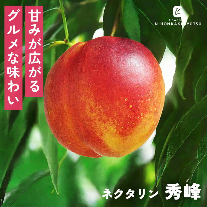 楽天市場】ネクタリン 秀峰の通販