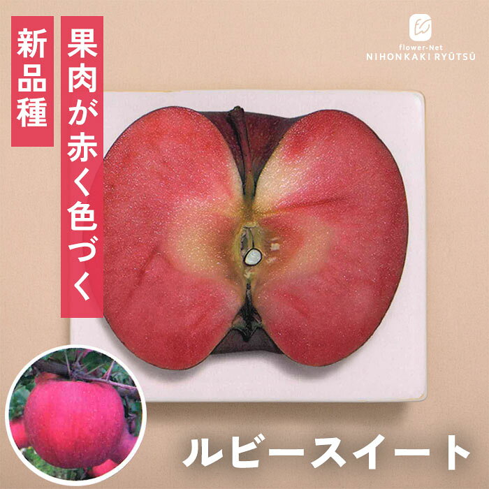 送料について→ 特徴 果肉まで真っ赤！「酸っぱい」を覆す、生食で最高に美味しい奇跡の赤肉りんご「ルビースイート」。 ナイフを入れた瞬間、果肉まで鮮やかな赤色に染まった断面が現れる衝撃の赤肉品種「ルビースイート」。 これまでにも果肉が赤いりんごは存在しましたが、その多くは酸味が強く甘みが控えめなため、ジャムや製菓などの「加工用」として扱われることがほとんどでした。 しかし、このルビースイートは違います！糖度が高く、爽やかな酸味とのバランスが絶妙なため、皮をむいて「そのまま生食」で最高に美味しく召し上がっていただけます。 まだまだ市場での流通量が少ない超レア品種だからこそ、ご家庭で栽培して収穫すれば、家族やご友人から驚かれ人気者になること間違いなしです！ ・大きさ　450g程度（大果） ・平均糖度 14度〜15度程度 ・受粉樹　必要（紅玉・王林・アルプス乙女・富士・津軽・シナノスイート・もりのかがやきなど） ・開花期 5月中頃 ・収穫期 10月中旬〜10月下旬頃 ・用途 生食、果実酒、ジャム、料理 ※栽培環境により異なる場合があります。 管理方法 【置き場所・日当たり】 1日中日光が良く当たり風通しの良い場所を好みます。 【水やり】 地植えの場合は、基本的には水やりの必要はありません。 真夏に日照りが続いた場合は、朝や夕方の涼しい時間帯に株元にたっぷりの水を与えます。 鉢植えで管理する場合は、土の表面が乾いたら鉢底から流れるくらいたっぷりの水を与えます。 【肥料】 植えつけ時に元肥をあたえ、年に2〜3回程度の追肥を与えます。 サイズ・その他 13.5cmポット 1ポット ※秋出荷の際は落葉しています。 ※苗木の画像はお届け時のイメージとなります。 ※個体差がございますのでご了承下さい。 注意点 ※ご予約苗につきましては、植物のため生育不良等の理由で商品の準備ができない場合がございます。 ※発送時期が異なる商品とは同梱できません。 ※各商品ページに記載の発送時期をご確認の上ご注文下さい。