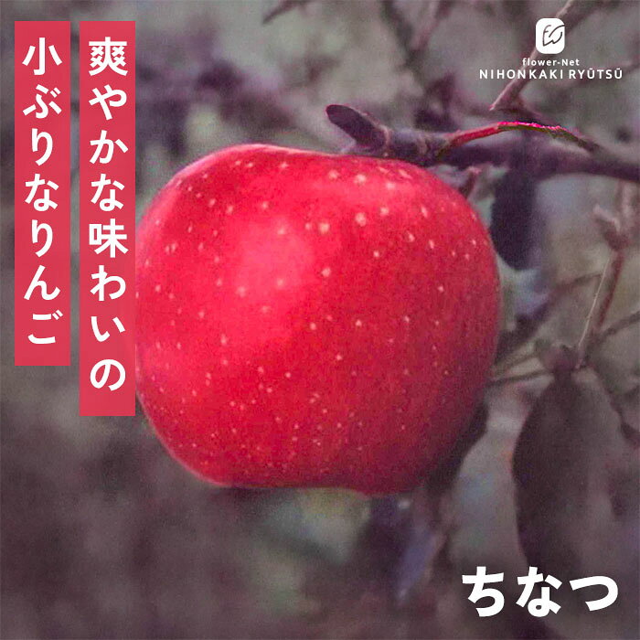 送料について→ 特徴 夏の訪れを告げる爽やかな酸味！キュートで日持ちも良い極早生りんご「ちなつ」。 ちなつは、「あかね」と「スタークアーリエスト」を掛け合わせて誕生した、夏の早い時期に収穫できる極早生品種の赤りんごです。 果重は200g前後と手のひらに収まる小ぶりで愛らしいサイズ感をしています。 最大の魅力は、皮が薄くてそのまま丸かじりしやすい軽やかさと、一口噛むとあふれ出すたっぷりの果汁！ 糖度は約12〜13度あり、キリッとした爽やかな酸味がしっかり効いているため、暑い夏にぴったりの甘酸っぱくさっぱりとした味わいです。 一般的な早生りんごは日持ちがしにくい傾向にありますが、ちなつは冷蔵保存で約40日前後も長持ちする優れもの。毎日のデザートや夏のおやつに重宝する、頼もしい極早生りんごです。 ・大きさ　134g〜230g程度（小中果） ・平均糖度 10.4度〜14.2度程度 ・受粉樹　必要（王林・津軽・もりのかがやき・きたろう・世界一・ぐんま名月・紅玉・きたろう・こうたろう・ルビースイートなど） ・開花期 5月上頃 ・収穫期 7月下旬〜8月中旬頃 ・用途 生食、果実酒、ジャム、料理 ※栽培環境により異なる場合があります。 管理方法 【置き場所・日当たり】 1日中日光が良く当たり風通しの良い場所を好みます。 【水やり】 地植えの場合は、基本的には水やりの必要はありません。 真夏に日照りが続いた場合は、朝や夕方の涼しい時間帯に株元にたっぷりの水を与えます。 鉢植えで管理する場合は、土の表面が乾いたら鉢底から流れるくらいたっぷりの水を与えます。 【肥料】 植えつけ時に元肥をあたえ、年に2〜3回程度の追肥を与えます。 サイズ・その他 13.5cmポット 1ポット ※秋出荷の際は落葉しています。 ※苗木の画像はお届け時のイメージとなります。 ※個体差がございますのでご了承下さい。 注意点 ※ご予約苗につきましては、植物のため生育不良等の理由で商品の準備ができない場合がございます。 ※発送時期が異なる商品とは同梱できません。 ※各商品ページに記載の発送時期をご確認の上ご注文下さい。