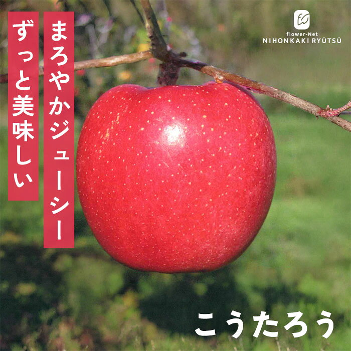 送料について→ 特徴 小さめ果実にギュッと詰まった濃厚な甘み！シャキッと歯ごたえ抜群の優等生りんご「こうたろう」。 こうたろうは、「ふじ」と「はつあき」を掛け合わせて誕生した中生品種の赤りんごです。果重は約300g〜350gとやや小ぶりで食べやすい手のひらサイズですが、一口かじれば約15度という高い糖度の強い甘みが口いっぱいに広がります。 豊かな甘みに寄り添う絶妙な酸味のバランス、そして噛むたびに心地よいシャキシャキとした歯ざわりとあふれる果汁がたまらない食味良好な一品です。 豊産性に優れており、収穫の喜びをたっぷり味わえるのも大きな魅力。小ぶりな姿に抜群の美味しさと収穫力を秘めた、育てがい・食べがいともに文句なしの優等生品種です。 ・大きさ　200g〜250g程度（中果） ・平均糖度 14度〜15度程度 ・受粉樹　必要（紅玉・王林・津軽・シナノスイート・アルプス乙女・富士・ルビースイート・もりのかがやき・きたろうなど） ・開花期 5月上頃 ・収穫期 10月中旬〜11月上旬頃 ・用途 生食、果実酒、ジュース ※栽培環境により異なる場合があります。 管理方法 【置き場所・日当たり】 1日中日光が良く当たり風通しの良い場所を好みます。 【水やり】 地植えの場合は、基本的には水やりの必要はありません。 真夏に日照りが続いた場合は、朝や夕方の涼しい時間帯に株元にたっぷりの水を与えます。 鉢植えで管理する場合は、土の表面が乾いたら鉢底から流れるくらいたっぷりの水を与えます。 【肥料】 植えつけ時に元肥をあたえ、年に2〜3回程度の追肥を与えます。 サイズ・その他 13.5cmポット 1ポット ※秋出荷の際は落葉しています。 ※苗木の画像はお届け時のイメージとなります。 ※個体差がございますのでご了承下さい。 注意点 ※ご予約苗につきましては、植物のため生育不良等の理由で商品の準備ができない場合がございます。 ※発送時期が異なる商品とは同梱できません。 ※各商品ページに記載の発送時期をご確認の上ご注文下さい。
