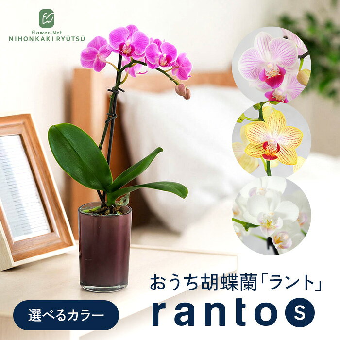 商品画像1