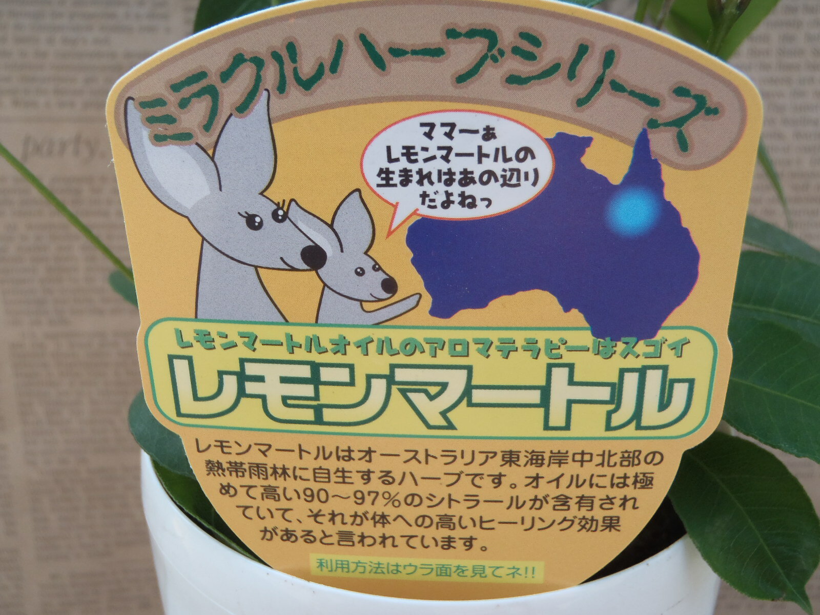https://thumbnail.image.rakuten.co.jp/@0_mall/nihonkakiryuutuu/cabinet/img62430656.jpg