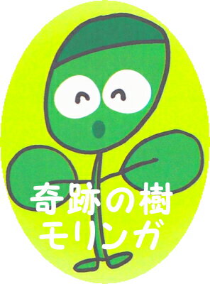 https://thumbnail.image.rakuten.co.jp/@0_mall/nihonkakiryuutuu/cabinet/img62800806.jpg