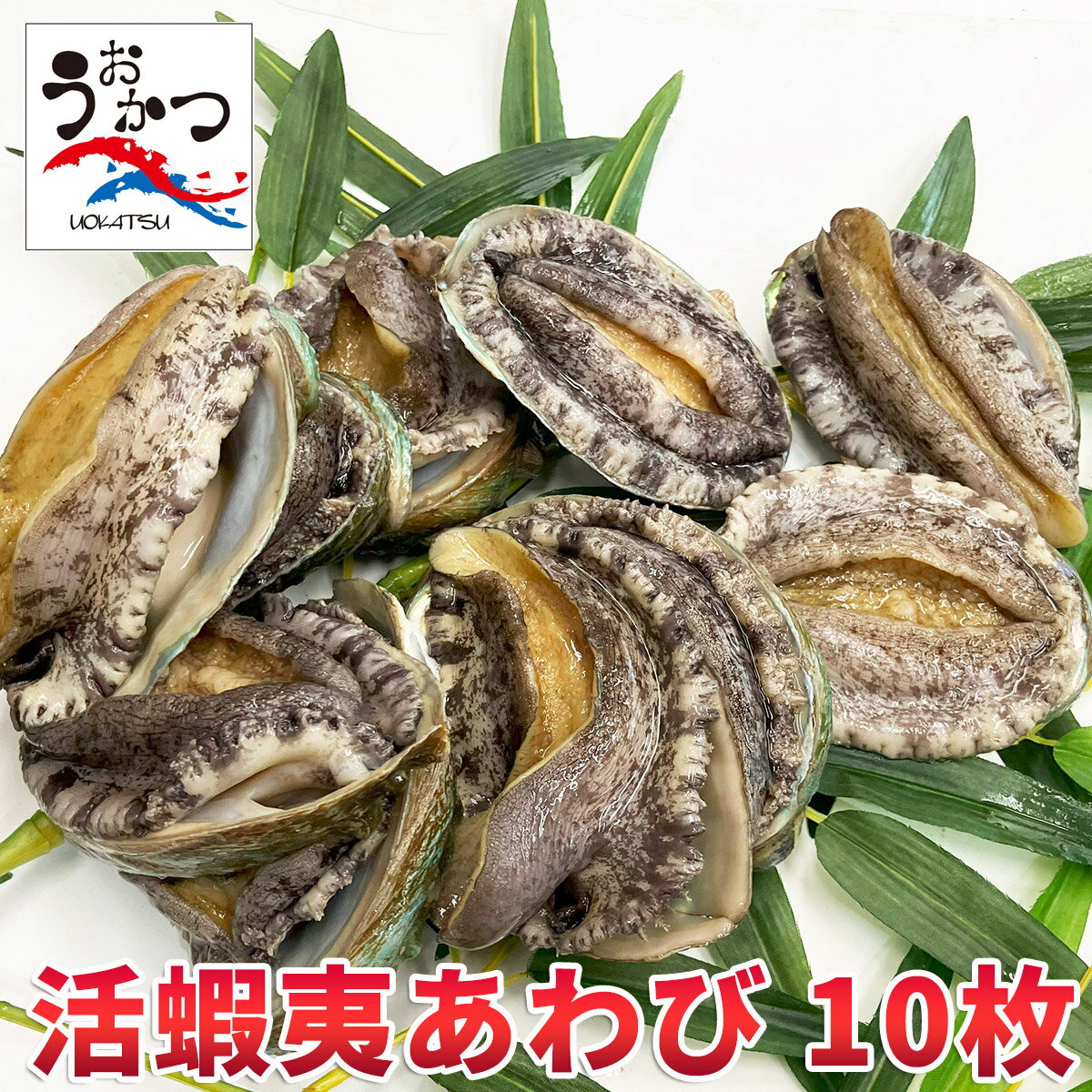 ܰФӧ70/8010ڥӡ̵ۡۡڳڥ_Τۡڳڥ_å