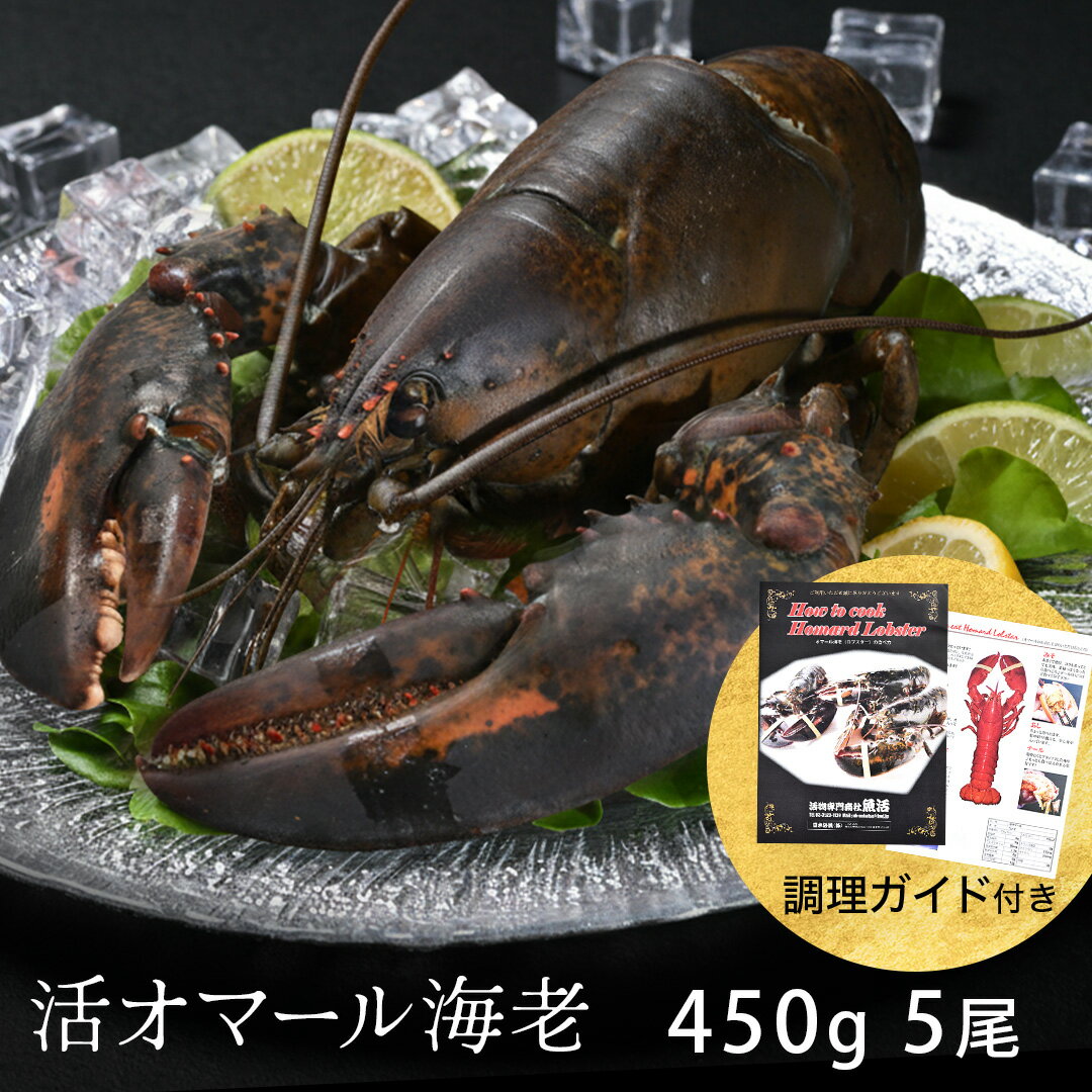 楽天活物専門商社【魚活】（日本活魚）活オマール海老（450g）5尾入【送料無料】 えび ロブスター ご褒美 贅沢 グルメ 記念日 お取り寄せ ディナー パーティ 料理 メイン 豪華 食材 敬老の日 お中元 お歳暮 お祝い 内祝い 誕生日 ギフト プレゼント 高級 食品 簡単 手軽