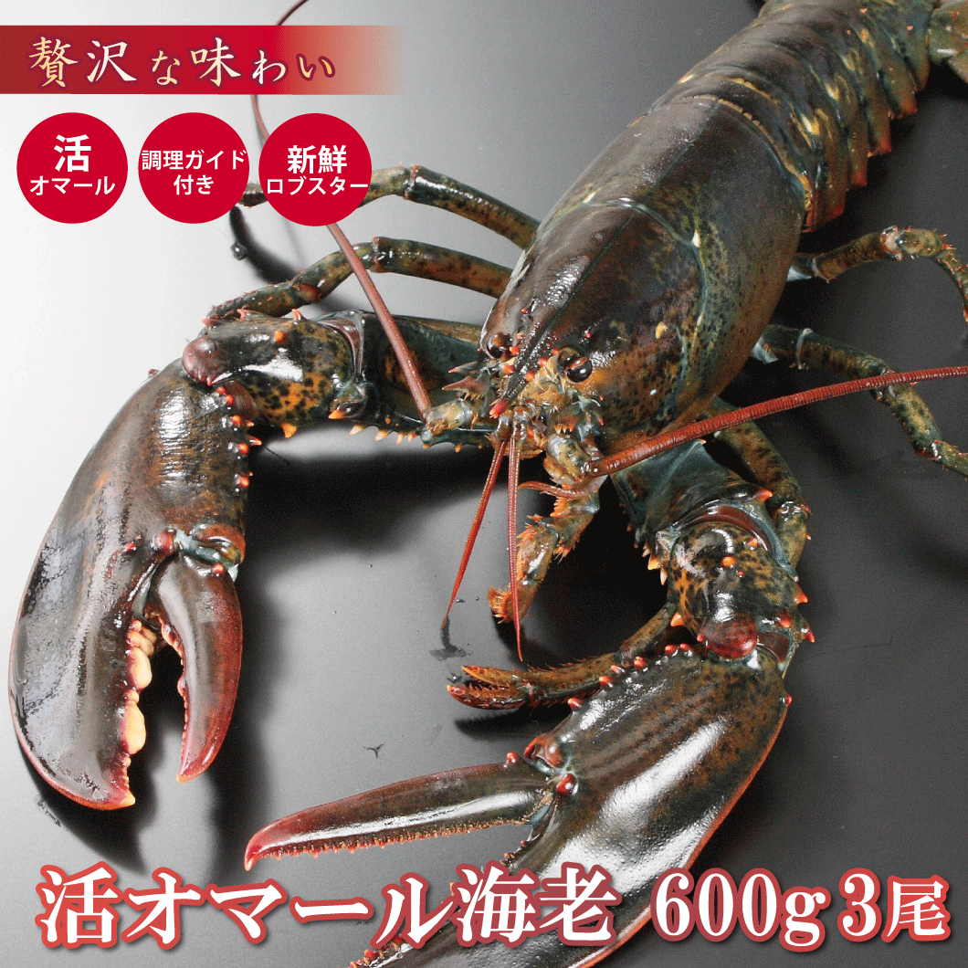 ޡ볤Ϸʡ600ˣڥ֥ۡڤбۡڳڥ_Τۡڳڥ_åۡڳڥ_Τ