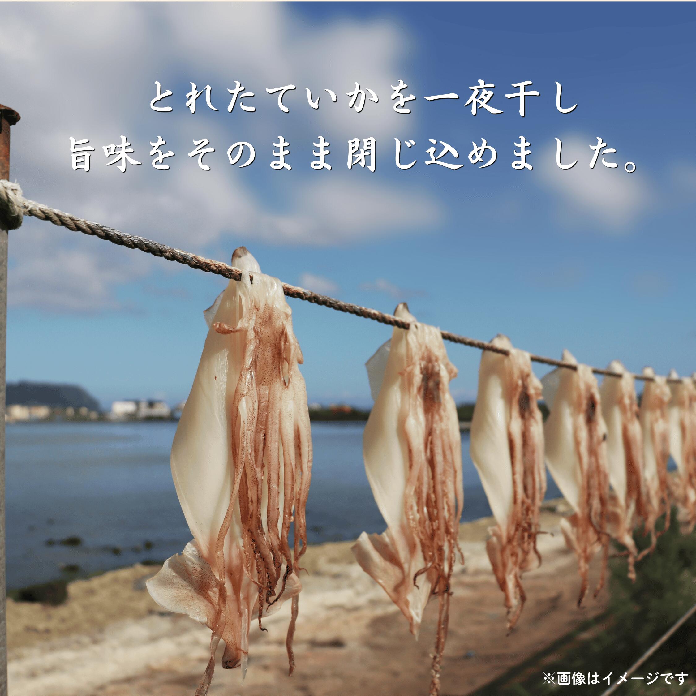 青森県八戸港水揚げ 真いか一夜干し 約200g 3個or5個セット いか イカ おつまみ 冷...