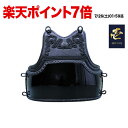 剣道 胴 防具 初心者 入門 premium 壱 2025改 剣道具 剣道防具 単品 武具 武道 胴台 人気 おすすめ どう