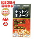 ★送料無料★ HISANO NANOナットウキナーゼ240粒ナットウキナーゼ活性480,000FU 健康補助食品 (333mg×240粒)約80日分 【日本製】