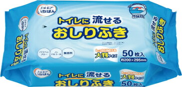 【カミ商事】エルモアいちばんトイレに流せるおしりふき　1ケース洗浄 シート 流せる 介護用品 お年寄り 高齢者