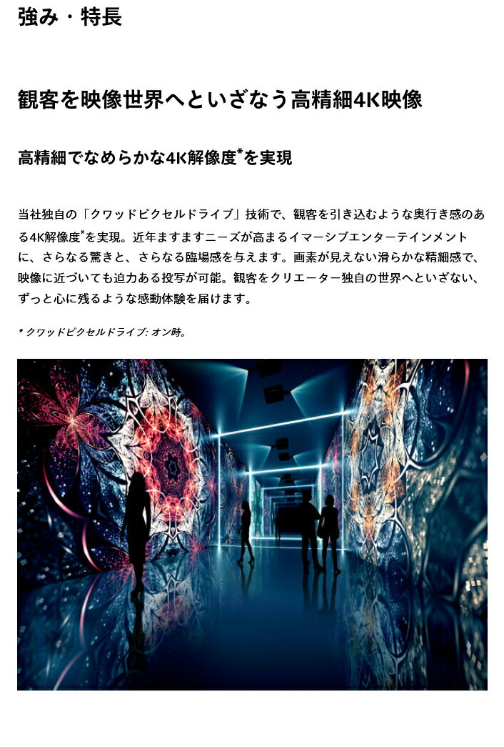 (Ǽ���׳�ǧ) �ѥʥ��˥å� DLP�ץ����������� (�������) PT-REQ15JLB | OA���� �ץ��������� ���ե������� �Ǽ̵� ��� ��ļ� ���� �ץ����������� ��̳�� ���ե����ץ쥼��ơ������ �ֵ� ���鵡�� ��Ƶ� DLP Panasonic �⵱�� �ǲ� ���ݡ��Ĵ��� ����饤�� |