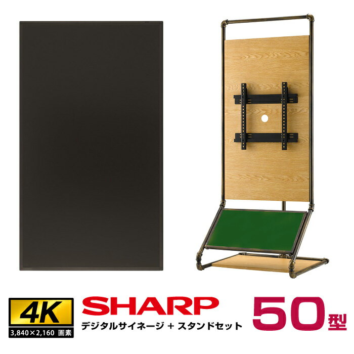 ڥåȾʡۥ㡼 SHARP 4Kб ǥ륵͡ 50 PN-HW501 ͡ īںù SS-WTP11-OW11 | ̳ ǥץ쥤 ˥ վǥץ쥤  ѥͥ Ǽ վ˥ ɳݤ 50v ֤ ֤ 50 |