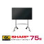 ͽ(5ͽ) ڥåȾʡSHARP 㡼 åǥץ쥤4K BIG PAD 75 PN-L752B ե PN-ZS703B | ǥ륵͡ ŻҴ վǥץ쥤 åѥͥ 75 վѥͥ ե å˥ 75v |