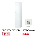 生興 セイコー SLDWロッカー SLDW-1S-N (076406) ホワイト 重量18kg ロッカー 南京錠用 | 貴重品入れ 1人用 南京錠 事務用品 トップジャパン ボックス ロック かぎ付き 鍵付き 貴重品 南京錠用式 業務用 スチールロッカー 大型 鍵 スチール 防犯 収納 キー 個人ロッカー |