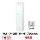 生興 セイコー SLDWロッカー SLDW-1S-T (076405) ホワイト 重量18kg ロッカー 内筒交換錠 | 貴重品入れ 1人用 事務用品 トップジャパン ボックス ロック 鍵付き 貴重品 内筒交換錠式 業務用 スチールロッカー 大型 鍵 スチール ダイヤル錠 オフ 防犯 収納 ダイヤル式 キー |