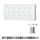 豊國工業 多目的用ロッカー GLK-S12YS ホワイトグレー 浅型 重量53.1kg|GLKシリーズ H880タイプ 豊国工業 12人用 6列2段 個人用 窓...