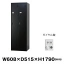豊國工業 更衣室用ロッカー TLK-D2N-MB マットブラック 重量30.9kg ダイヤルロック式 | TLKシリーズ 貴重品入れ 2人用 トップジャパン ス...