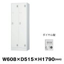 豊國工業 更衣室用ロッカー TLK-D2N ホワイトグレー 重量30.9kg ダイヤルロック式 |TLKシリーズ 貴重品入れ 2人用 スリム トップジャパン ス...