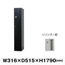 豊國工業 更衣室用ロッカー TLK-S1S-MB マットブラック 重量21.2kg シリンダー錠 | TLKシリーズ 豊国工業 貴重品入れ 1人用 スリム 鍵付...