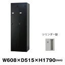 豊國工業 更衣室用ロッカー TLK-S2-MB マットブラック 重量30.9kg シリンダー錠 | TLKシリーズ 豊国工業 貴重品入れ 2人用 スリム 事務用...