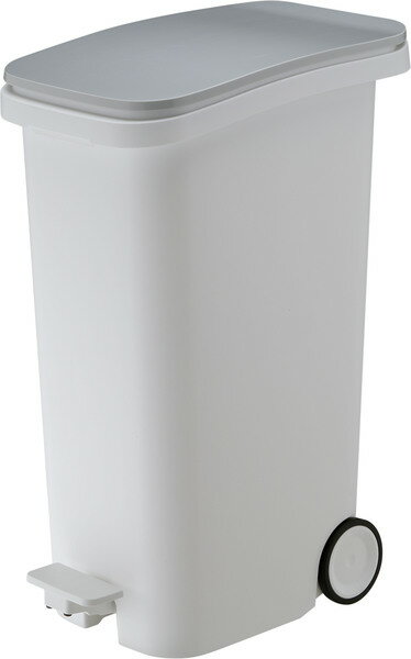 ë ࡼ ڥȥܥå31 RSD-621MT|ƥꥢ ץ   ̳ ȥåץѥ|