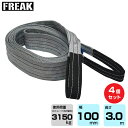 【まとめ買い】4個セット FREAK CEベルトスリングE型 使用荷重3150kg 幅100mm 長さ3m (65508) | フリーク トラック 吊具 4本 ...