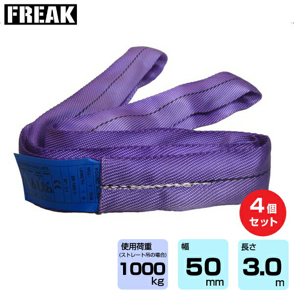 【まとめ買い】4個セット FREAK CEラウンドスリングN型 使用荷重1000kg 幅50mm 長さ3m (65615) | フリーク トラック 吊具 4本 スリングベルト 建設現場 重機ベルト クレーン バンド 玉掛け 荷役 吊り上げ 持ち上げ ベルトスリング 運搬ベルト 工事用品 ナイロンスリング |